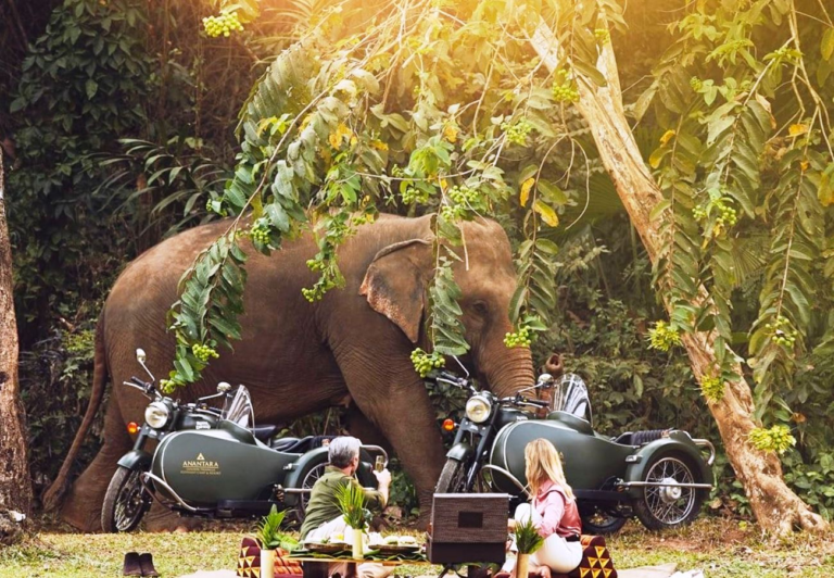 Anantara Golden Triangle 5